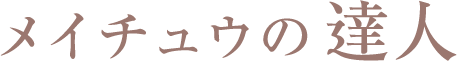 メイチュウの達人